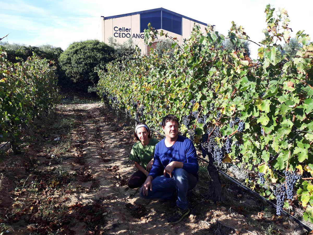 Fotografia on apareixen els dos propietaris del celler i al darrere es veuen les vinyes i el celler.